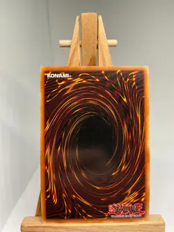 D.D. Warrior Lady - Gold Rare Limited Edition GLD1-EN015 - LP - YuGiOh - Image 2