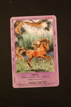 Bella Sara Trading Card - Native Lights - Foil S13/17 Santee - Image 1
