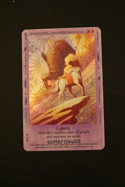 Bella Sara Trading Card - Native Lights - Foil S9/17 Lakota - Image 1
