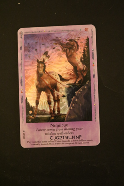 Bella Sara Trading Card - Native Lights - Foil S11/17 Nimiipuu - Image 1