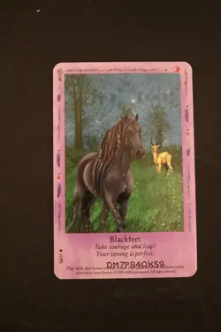 Bella Sara Trading Card - Native Lights - Foil S3/17 Blackfeet - Image 1