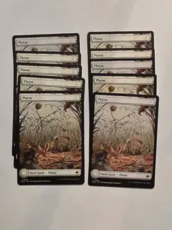 10x Plains (264) - Bloomburrow - Near Mint - MTG - Image 1