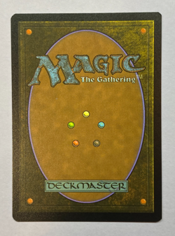 MTG - Secret Lair - Featuring: Julie Bell - Coat of Arms - FOIL - NM - Image 2