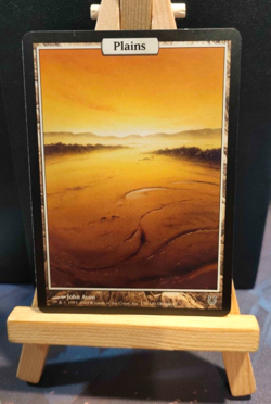 Plains Full Art Land - Unhinged - Excellent/LP - MTG - Image 1