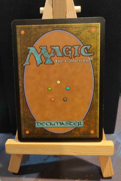 Plains Full Art Land - Unhinged - Excellent/LP - MTG - Image 2