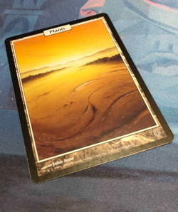 Plains Full Art Land - Unhinged - Excellent/LP - MTG - Image 3