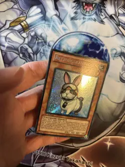 (HE) Rescue Rabbit - PHSW-SP037 German - Secret Rare - 1st Edition YuGiOH HP/DMG - Image 4