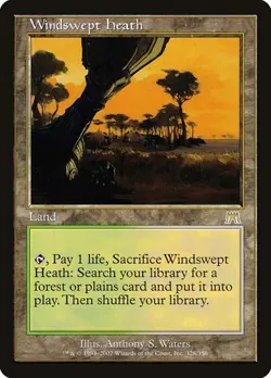 Windswept Heath Onslaught MP MTG - Image 1
