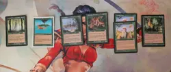 Old school Premodern Magic the Gathering Card Lot Green 29 Cards - Image 2