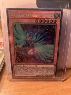 Radiant Typhoon Krosea DOOD-EN015 Secret Rare 1st Edition NM Yugioh - Image 1