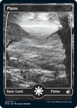 MTG: Innistrad - Midnight Hunt Full Art Land Set x 5 (50 cards) - Image 2