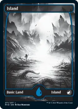 MTG: Innistrad - Midnight Hunt Full Art Land Set x 5 (50 cards) - Image 5