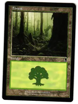 Magic_the_gathering Odyssey Forest (348) #348 2001,MTG,LP Land - Image 1