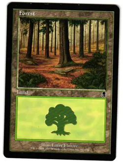 Magic_the_gathering Odyssey Forest (347) #347 2001,MTG,LP Land - Image 1