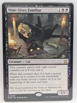 Nine-Lives Familiar Foundations Regular - Image 1