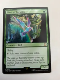 Birds of Paradise Commander: the Lord of the Rings: Tales of Middle-Earth... - Image 1