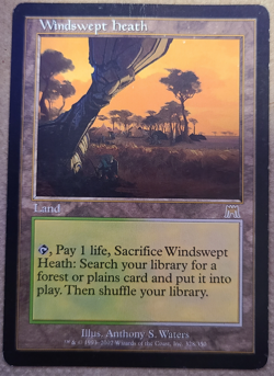 Windswept Heath Onslaught MTG Moderately Played (MP) x1 - Image 1