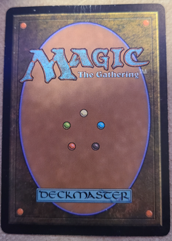 Windswept Heath Onslaught MTG Moderately Played (MP) x1 - Image 2