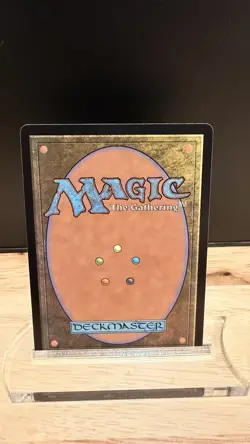 Marrow-Gnawer (Borderless) Commander: Bloomburrow Regular - Image 4