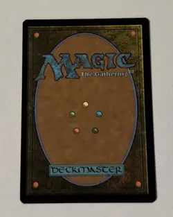 MTG Assimilation Aegis - Outlaws of Thunder Junction LP - Image 2