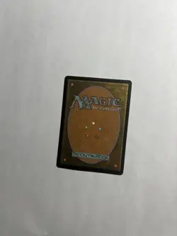 Yavimaya Coast Apocalypse Regular Magic The Gathering Mtg - Image 2