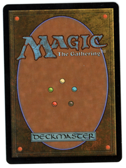 Yavimaya Coast - MTG (SP Quality) - Apocalypse - See pics/scans! - Image 2