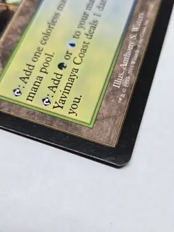 Mtg Yavimaya Coast Apocalypse Regular - Image 3