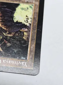 Mtg Yavimaya Coast Apocalypse Regular - Image 4