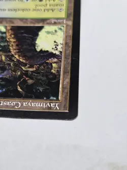 Mtg Yavimaya Coast Apocalypse Regular - Image 5