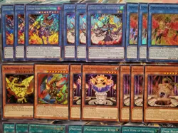 Nephthys Deck With Extras : Casual Yu-Gi-Oh Deck - Image 2