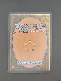 MTG Magic the Gathering Forbidden Crypt Signed D Alexander Gregory Autographed - Image 2