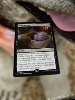 Stinging Study Commander 2021 Regular - Image 1