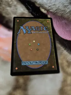 Stinging Study Commander 2021 Regular - Image 2