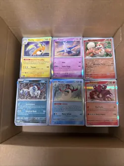 Pokemon Bulk 5lb Box (English, No Energy/Code/Trainer Cards Guaranteed) - Image 2