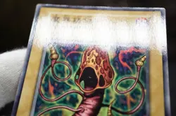 YuGiOh Fungi of the Musk Japanese OCG 1st Series Booster5 1999 - Image 5