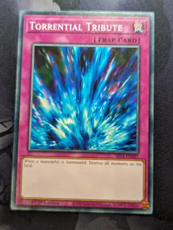 Yu-Gi-Oh! - Torrential Tribute - SR14-EN037 - Common - 1st Edition - Image 1