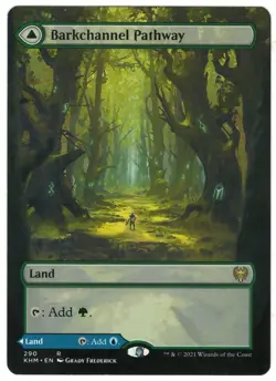 MTG Barkchannel Pathway Borderless Kaldheim Magic The Gathering TCG - Image 1
