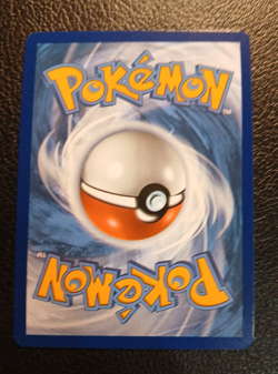 Pokemon TCG, Swinub 165/159, Journey Together Illustration Rare Holo Near Mint - Image 5