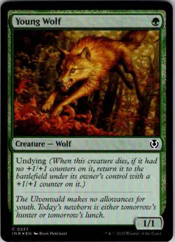 Magic | INR | Young Wolf | 227 | Foil | NM - Image 1