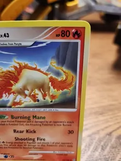 Rapidash 22/100 Stormfront Regular 2008 Pokemon TCG NM - Image 3