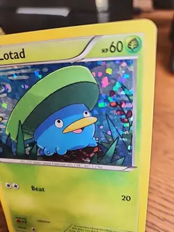 Lotad 2/12 McDonald's Promo Confetti Holo 2015 Pokemon Card - Image 3