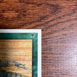 Sandstorm Error Card MTG 4th Edition English Square Cut Used - Image 5