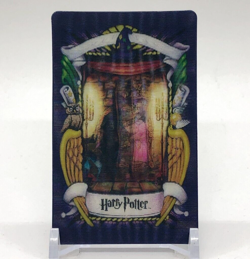 Fat Lady Portrait Harry Potter Chocolate Frog Card Japanese USJ Warner a - Image 1