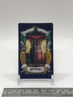 Fat Lady Portrait Harry Potter Chocolate Frog Card Japanese USJ Warner a - Image 2