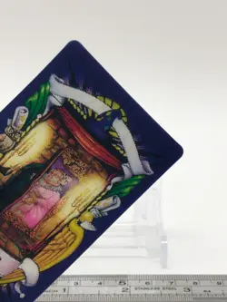 Fat Lady Portrait Harry Potter Chocolate Frog Card Japanese USJ Warner a - Image 4