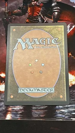 Choco, Seeker of Paradise #569 (Borderless Track Foil) FIN Magic The Gathering - Image 3