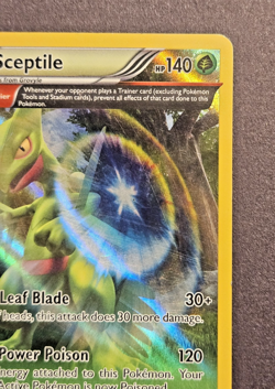 Pokemon TCG Sceptile Primal Clash 9/160 Regular Holo Rare - Image 2