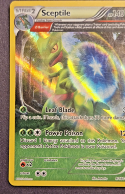 Pokemon TCG Sceptile Primal Clash 9/160 Regular Holo Rare - Image 3