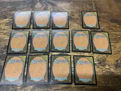 Lot Of 13 MTG Foreign Vintage Forest Mana Land Cards Zendikar Foil Japanese 2009 - Image 5