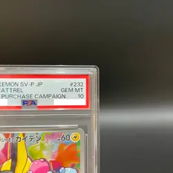 PSA 10 Iono's Wattrel 232/SV-P SV9 Box Purchase Promo Japanese Pokemon Card - Image 3